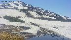 area1-20250513122017.jpg