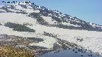 area1-20250513124017.jpg