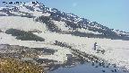 area1-20250513134018.jpg