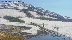 area1-20250513141017.jpg
