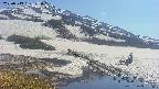 area1-20250513145016.jpg