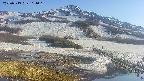 area1-20250513164018.jpg