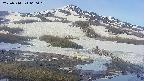 area1-20250514060016.jpg