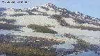 area1-20250514061016.jpg