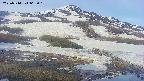 area1-20250514063016.jpg