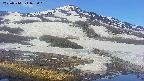 area1-20250514073018.jpg