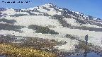area1-20250514090017.jpg