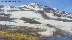area1-20250514093016.jpg