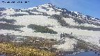 area1-20250514094016.jpg