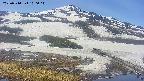 area1-20250514100015.jpg