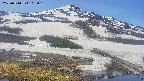 area1-20250514103016.jpg