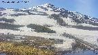 area1-20250514110016.jpg