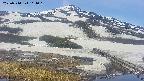 area1-20250514114017.jpg