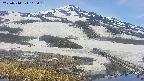 area1-20250514115016.jpg