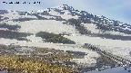 area1-20250514123016.jpg
