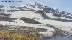 area1-20250514125016.jpg