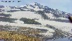 area1-20250514131018.jpg