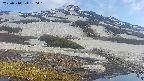 area1-20250514170017.jpg