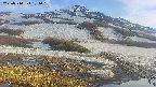 area1-20250514174016.jpg