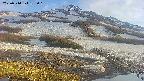 area1-20250514175017.jpg