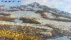area1-20250514180017.jpg