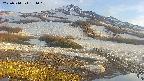 area1-20250514181017.jpg