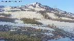 area1-20250515053016.jpg
