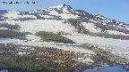 area1-20250515070018.jpg