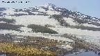 area1-20250515075016.jpg