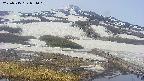 area1-20250515081015.jpg