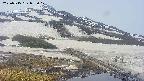 area1-20250515093018.jpg