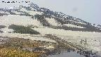 area1-20250515100020.jpg
