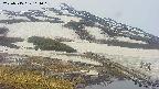 area1-20250515104017.jpg