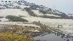 area1-20250515111018.jpg