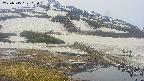 area1-20250515113019.jpg