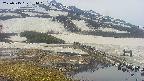 area1-20250515134019.jpg