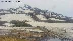 area1-20250515144018.jpg