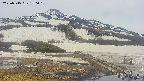area1-20250515150016.jpg
