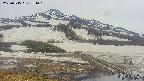 area1-20250515151019.jpg