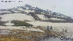 area1-20250515153019.jpg