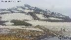 area1-20250515154020.jpg