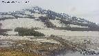 area1-20250515155020.jpg