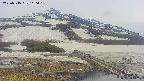 area1-20250515160020.jpg