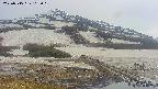 area1-20250515162019.jpg