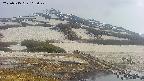 area1-20250515165021.jpg