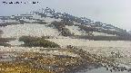 area1-20250515171021.jpg