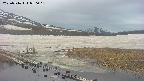 area1-20250516050017.jpg