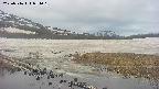 area1-20250516051016.jpg