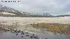 area1-20250516055017.jpg