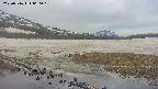 area1-20250516060020.jpg